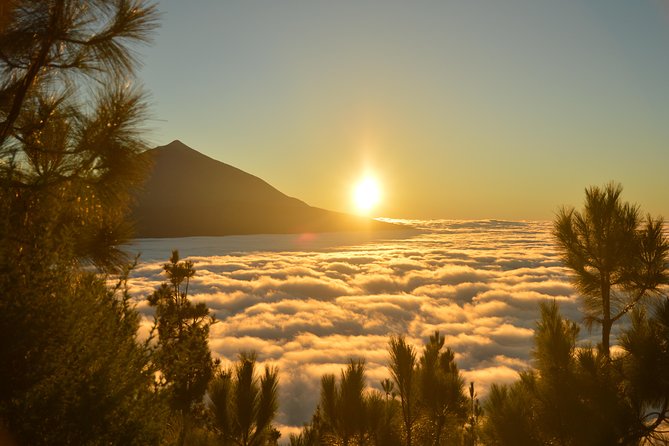 PRIVATE TOUR Teide National Park: Hiking and Stargazing - The private format and the role of Javier