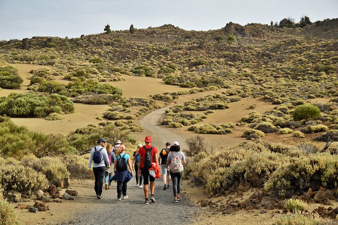 PRIVATE TOUR Teide National Park: Hiking and Stargazing - From Tenerife’s northeast coast into the pine forest