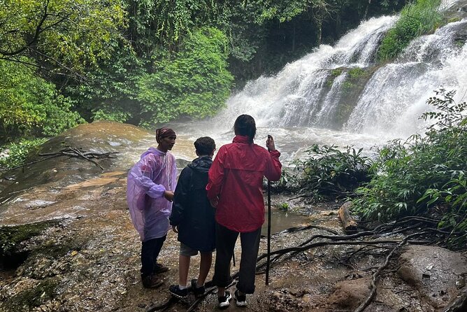 Private Tour to Doi Inthanon including Twins Pagodas and Hiking - Ang Ka Nature Trail: A Short Walk in the Cloud Forest