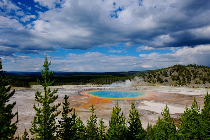 Private Yellowstone Tour: ICONIC Sites, Wildlife, Family Friendly Hikes + lunch - Why a private Yellowstone day can be worth the cost