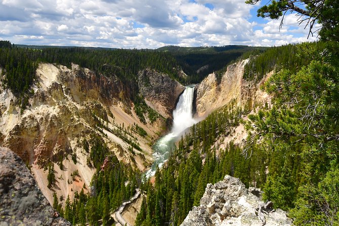 Private Yellowstone Tour: ICONIC Sites, Wildlife, Family Friendly Hikes + lunch - Old Faithful and the Upper Geyser Basin