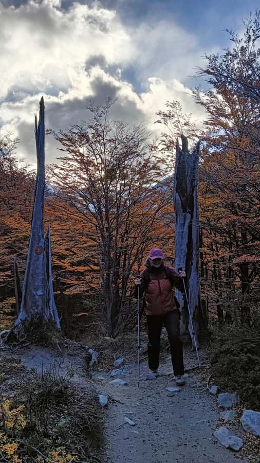 Puerto Natales: Base of the Towers Trekking Experience - Guides, group pace, and language