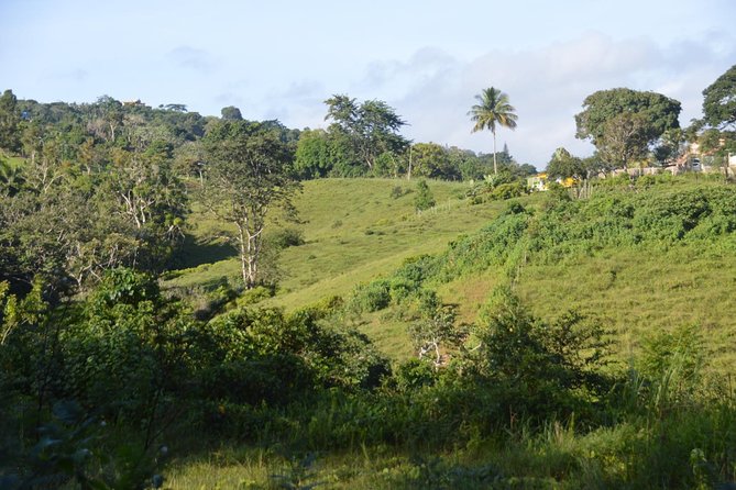 Puerto Rico Waterfall Hiking Tour: Discover Hidden Gems 2.0 - Leaving San Juan for the mountain countryside