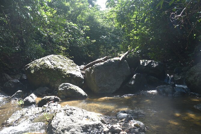 Puerto Rico Waterfall Hiking Tour: Discover Hidden Gems 2.0 - Reaching the 130-foot waterfall