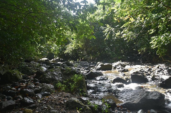 Puerto Rico Waterfall Hiking Tour: Discover Hidden Gems 2.0 - A local meal after the hard work