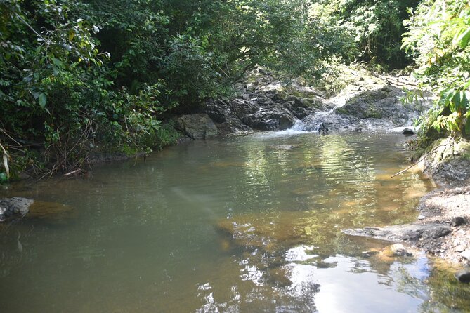 Puerto Rico Waterfall Hiking Tour: Discover Hidden Gems 2.0 - Who should book this waterfall trip?
