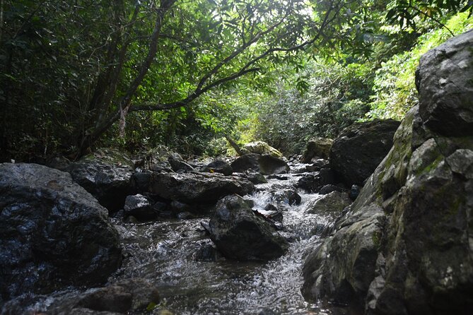 Puerto Rico Waterfall Hiking Tour: Discover Hidden Gems 2.0 - Why footwear matters more than almost anything else