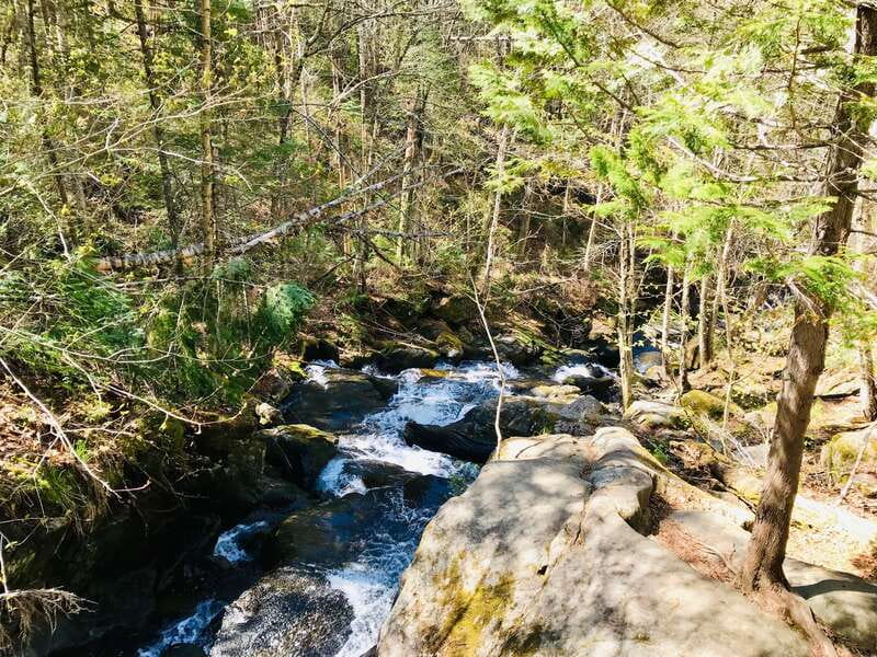 Quebec City: Guided Hike in Jacques-Cartier National Park - The tasting stops and included lunch