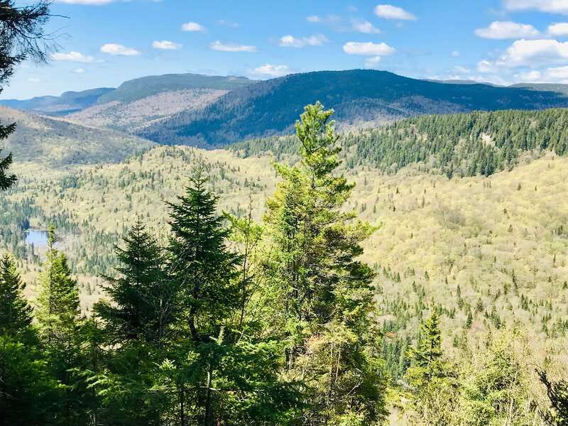 Quebec City: Guided Hike in Jacques-Cartier National Park - Who should book this outing?