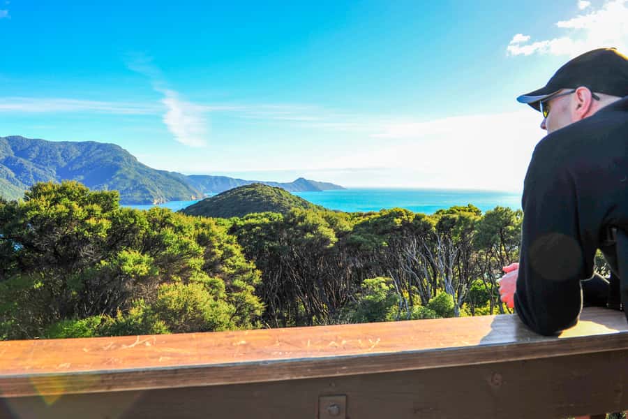 Queen Charlotte Track: Cruise & Self-Guided Hike from Picton - Who should book this trip?