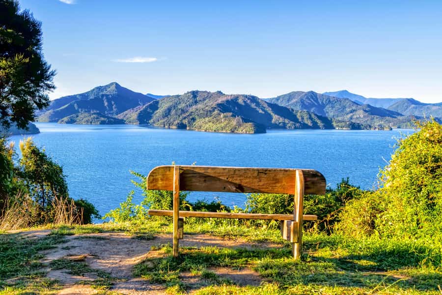 Queen Charlotte Track: Cruise & Self-Guided Hike from Picton - Why this day works so well from Picton