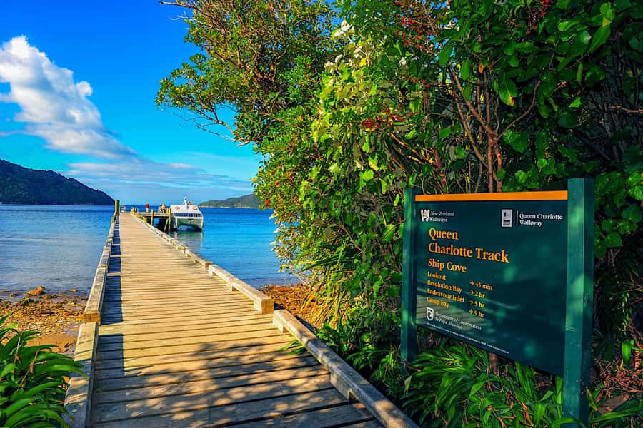 Queen Charlotte Track: Cruise & Self-Guided Hike from Picton - Route two: Ship Cove to Furneaux Lodge