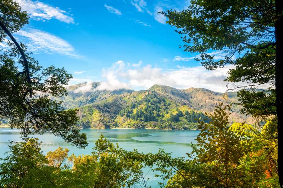 Queen Charlotte Track: Cruise & Self-Guided Hike from Picton - Checking in at Beachcomber Cruises