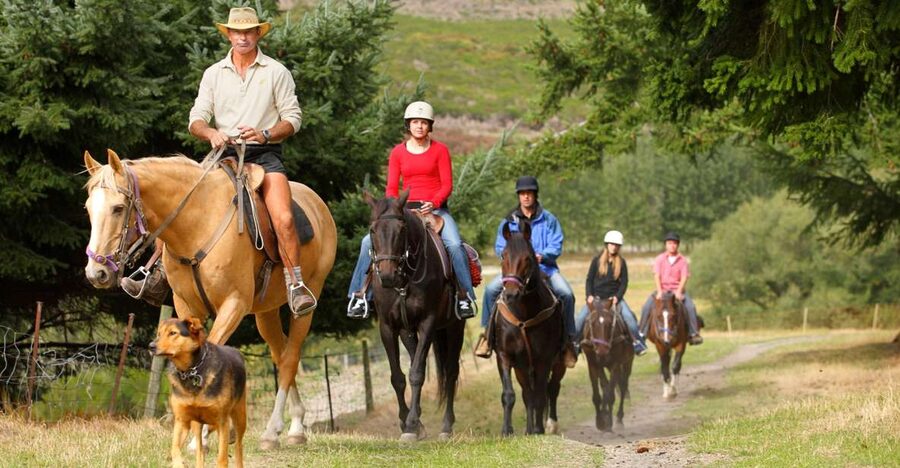 Queenstown: Walter Peak Horse Trek & Queenstown Lake Cruise - The Lake Whakatipu cruise sets the mood