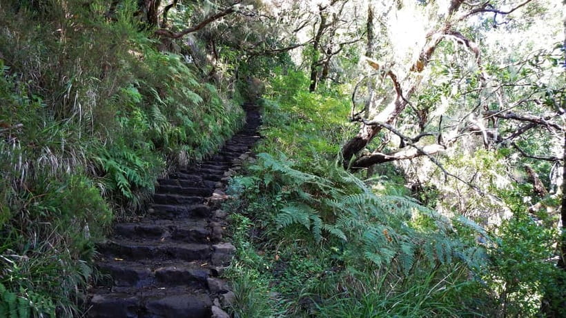 Rabaçal: 25 Fontes & Risco Levada Hiking Transfer - Key points before you book