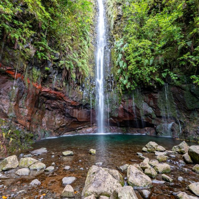 Rabaçal: 25 Fontes & Risco Levada Hiking Transfer - Why this Madeira hike is worth your day