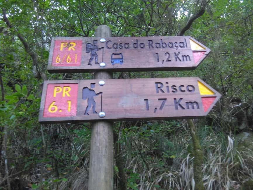 Rabaçal: 25 Fontes & Risco Levada Hiking Transfer - Reaching the famous 25 Fontes