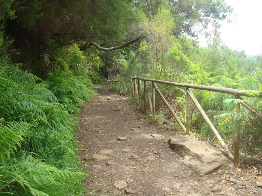 Rabaçal: 25 Fontes & Risco Levada Hiking Transfer - What the €40 price really buys you