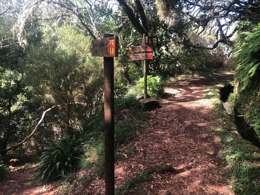 Rabaçal: 25 Fontes & Risco Levada Hiking Transfer - Weather, shoes, and the physical demands
