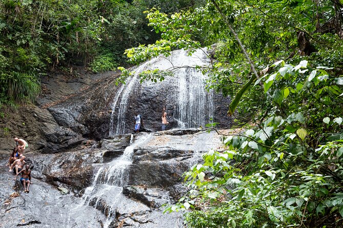 Rainforest Hike and Waterfall Safari - Key points before you book