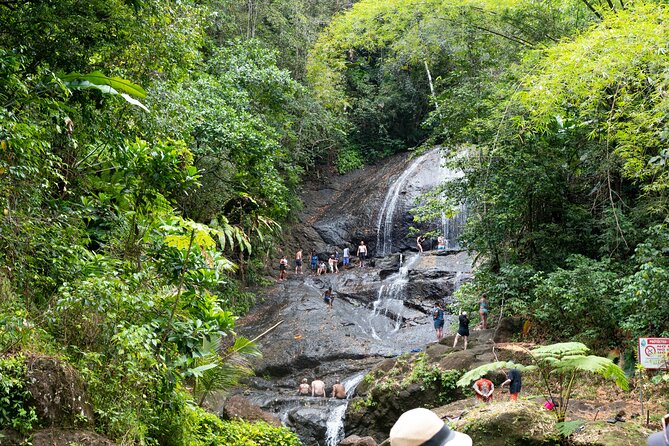 Rainforest Hike and Waterfall Safari - A 7:20 a.m. start from Gros Islet
