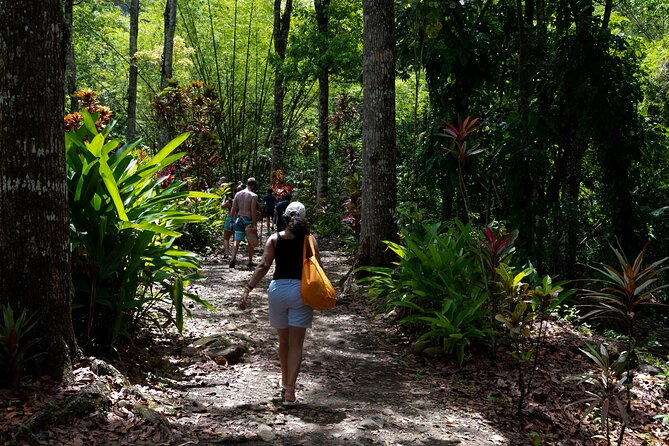 Rainforest Hike and Waterfall Safari - Anse La Raye adds local character