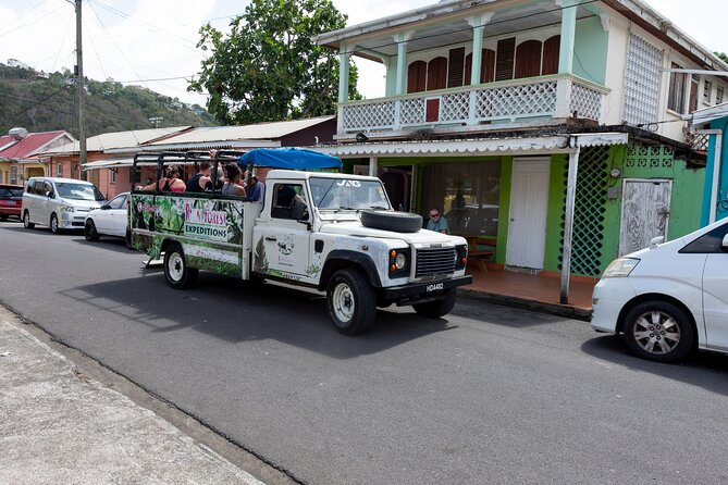 Rainforest Hike and Waterfall Safari - Wildlife, plants, and the guide’s local knowledge