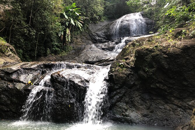 Rainforest Hike and Waterfall Safari - Fruit plantations and the changing countryside