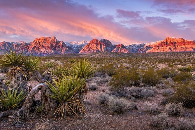 Red Rock Canyon Hike with Transport from Las Vegas - Key points to know before you go
