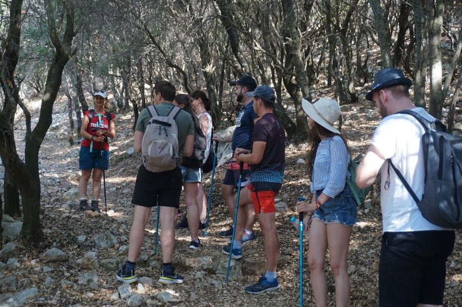 Rhodes: Profitis Ilias Guided Sunset Hike - Why Profitis Ilias makes a good sunset outing
