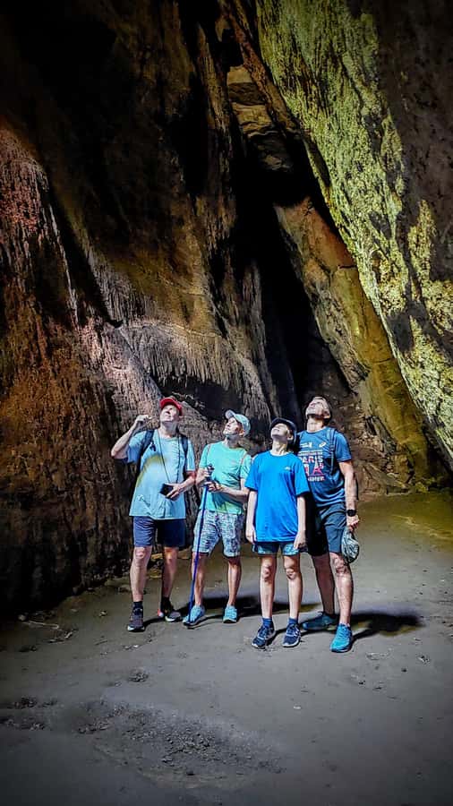 Rio de Janeiro: Tijuca Forest Challenge Hike Full-Day Trip - Key points before you book