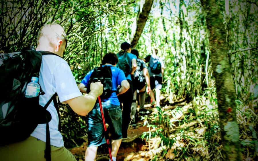 Rio de Janeiro: Tijuca Forest Challenge Hike Full-Day Trip - Should you book the Tijuca Forest Challenge Hike?