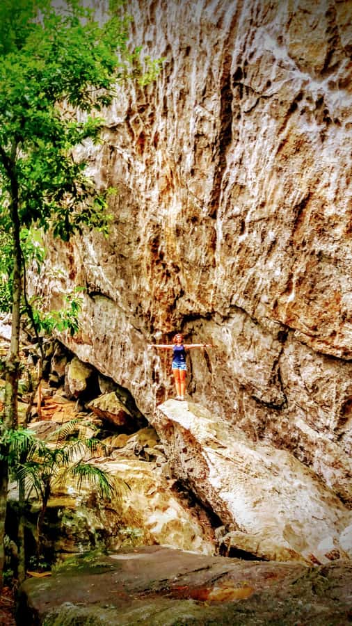 Rio de Janeiro: Tijuca Forest Challenge Hike Full-Day Trip - Coffee-farm ruins, grottos, and the Bat Cave