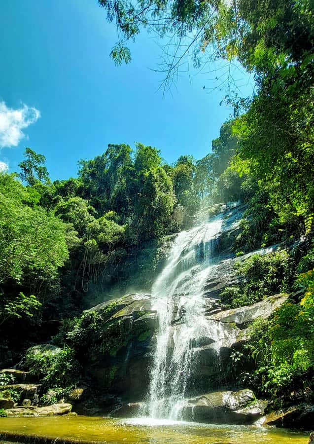 Rio de Janeiro: Tijuca Forest Challenge Hike Full-Day Trip - Guides, pacing, and the small-group advantage