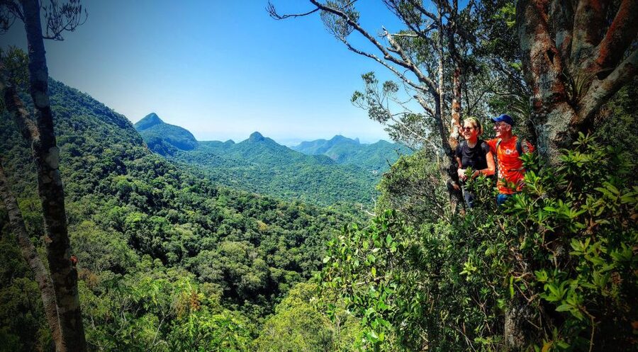 Rio de Janeiro: Tijuca Forest Challenge Hike Full-Day Trip - What the $86 price includes
