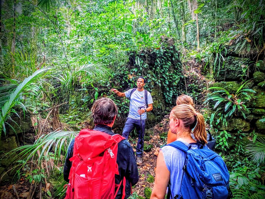 Rio de Janeiro: Tijuca Forest Challenge Hike Full-Day Trip - How to prepare for 10.4 kilometers