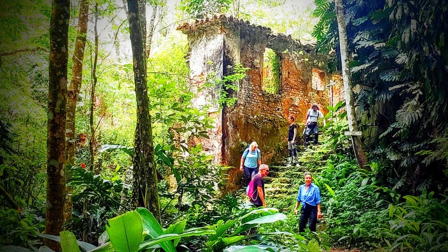 Rio: Tijuca Forest Small Group Hike to Caves and Waterfalls - Why Tijuca Forest makes a strong half-day escape