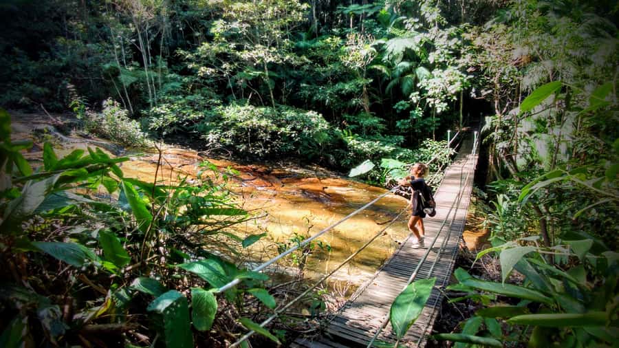 Rio: Tijuca Forest Small Group Hike to Caves and Waterfalls - Cascatinha Taunay introduces the park