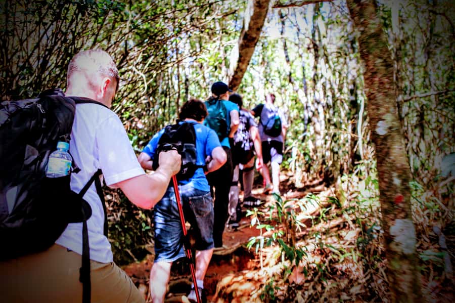 Rio: Tijuca Forest Small Group Hike to Caves and Waterfalls - Cova da Onça and the suspension bridge
