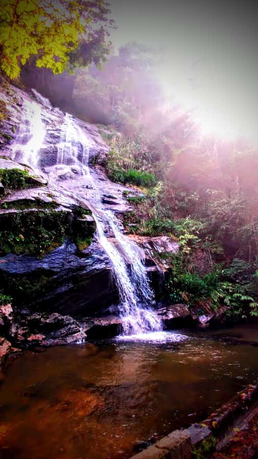 Rio: Tijuca Forest Small Group Hike to Caves and Waterfalls - Morcego’s Grotto, Brazil’s large gneiss cave