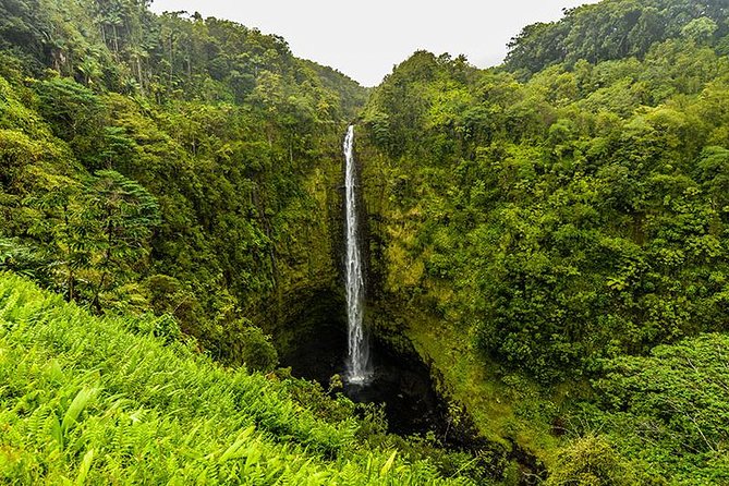 Road To Hana: Maui Waterfall Hiking Tour in Private Jeep - The 7:00 a.m. pickup gets the day moving