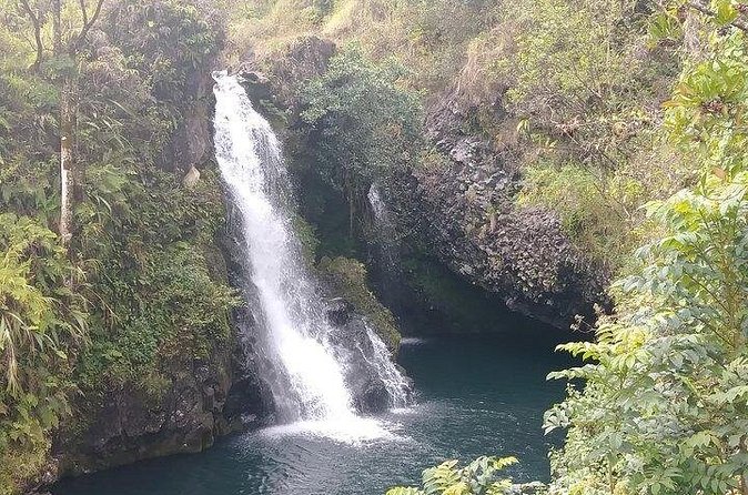Road To Hana: Maui Waterfall Hiking Tour in Private Jeep - Bamboo forest walks bring a different kind of scenery
