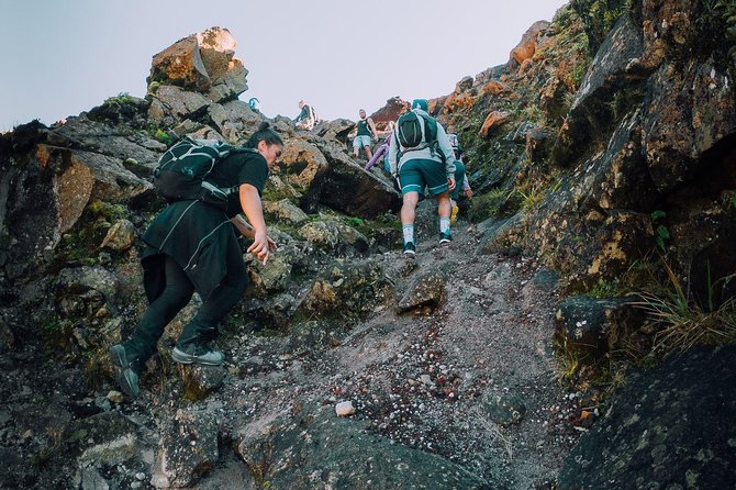 Rotorua Hiking: Mt Tarawera Guided Volcanic Crater Experience - Kaitiaki Adventures and the start of the walk