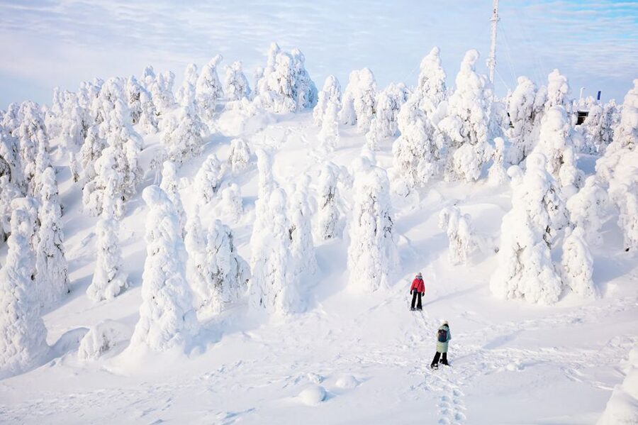 Rovaniemi: Hiking and Snowshoeing Adventure in Lapland - At a glance: what makes this outing worth considering
