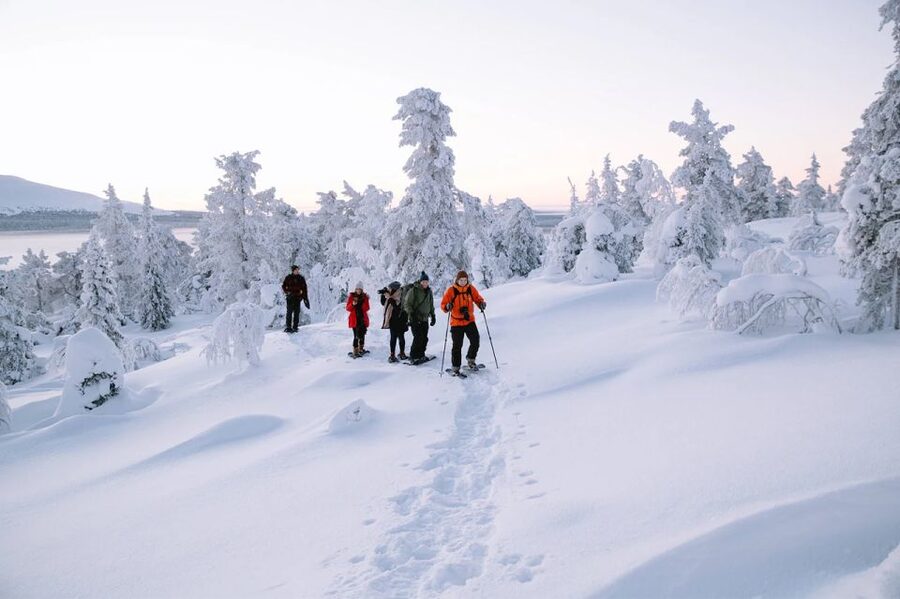 Rovaniemi: Hiking and Snowshoeing Adventure in Lapland - Entering the Arctic forest from Rovaniemi