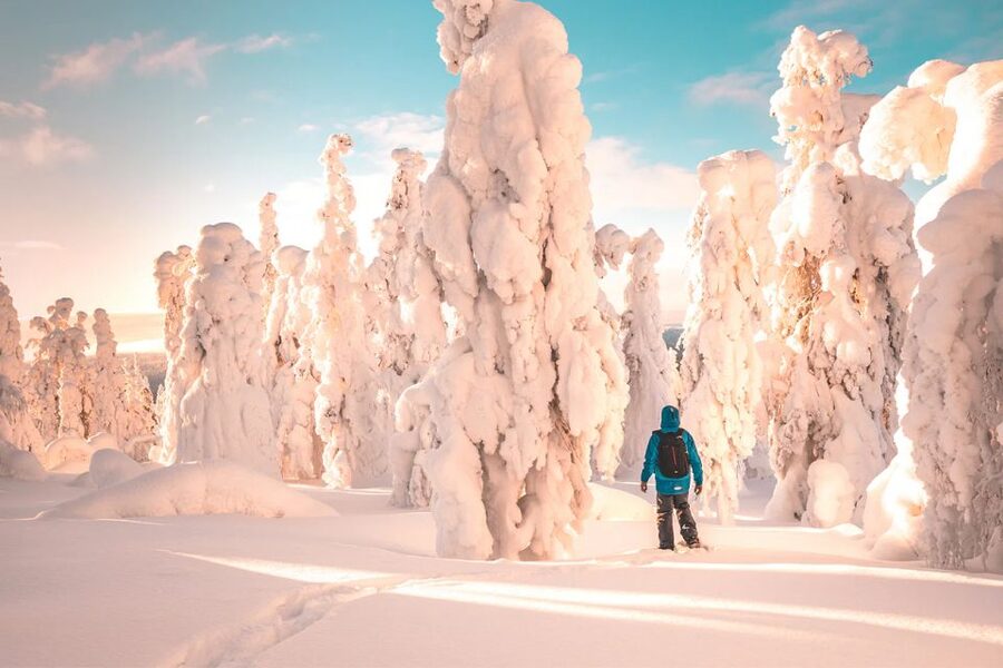 Rovaniemi: Hiking and Snowshoeing Adventure in Lapland - Helpful details before you reserve