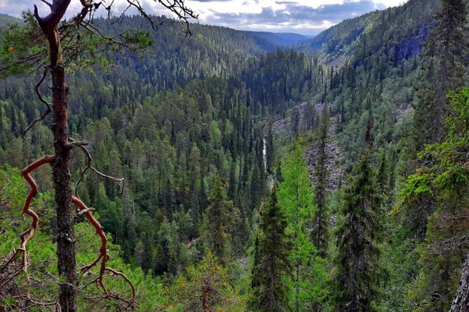 Rovaniemi Korouoma Canyon Hike and Barbecue Experience - Key points to know before you book