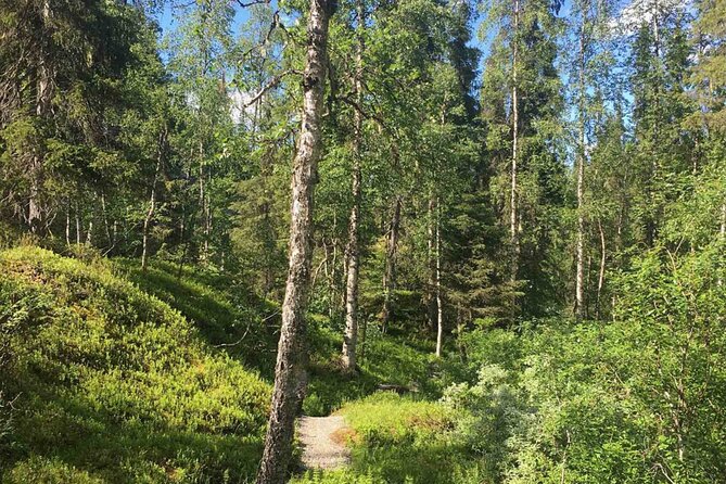 Rovaniemi Korouoma Canyon Hike and Barbecue Experience - Walking through Korouoma Canyon