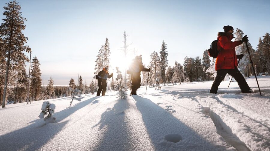 Rovaniemi: Lapland Ski Trekking Safari - Skiing through forest, hills, and fresh snow