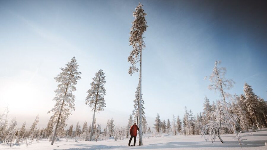 Rovaniemi: Lapland Ski Trekking Safari - Is four hours the right length?